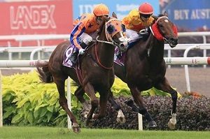 Sebrose winning the Sgp-3 El Dorado Classic (STC)